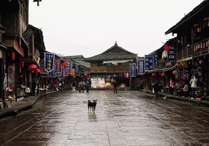 校园女生找不同4